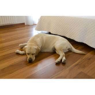 Vernice per parquet poliuretanica da 0,75 a 5 litri