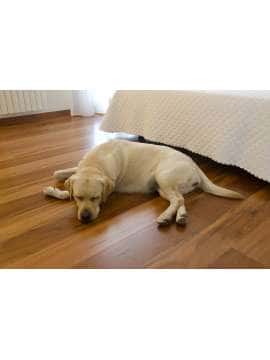 Vernice per parquet poliuretanica da 0,75 a 5 litri